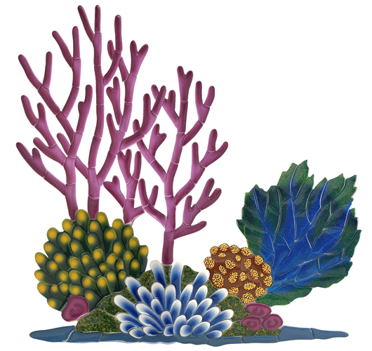Coral Reef Pool Mosaic