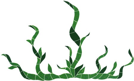 Seagrass Coral Reef Accent Mosaic Pool Tile